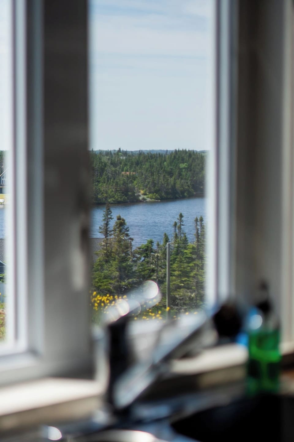 Beautiful pond and forest views right outside the cabin.