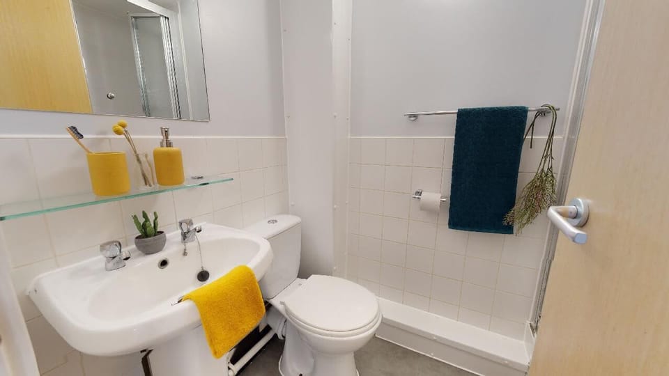 Single Room, Non Smoking | Bathroom