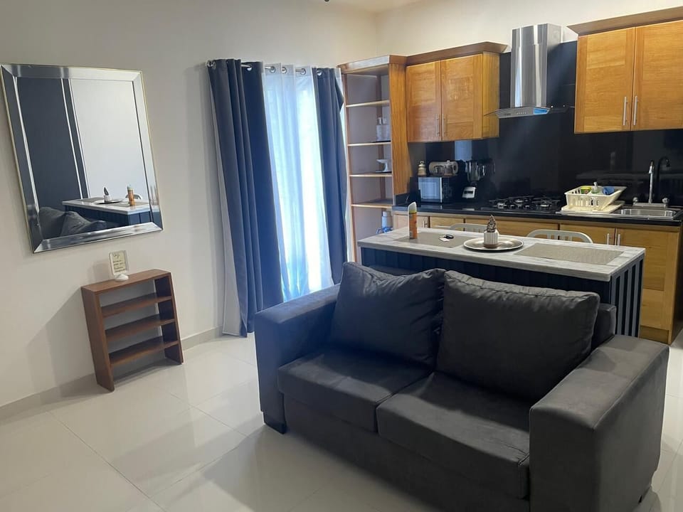 Comfort Apartment, 1 King Bed, Non Smoking | Living area