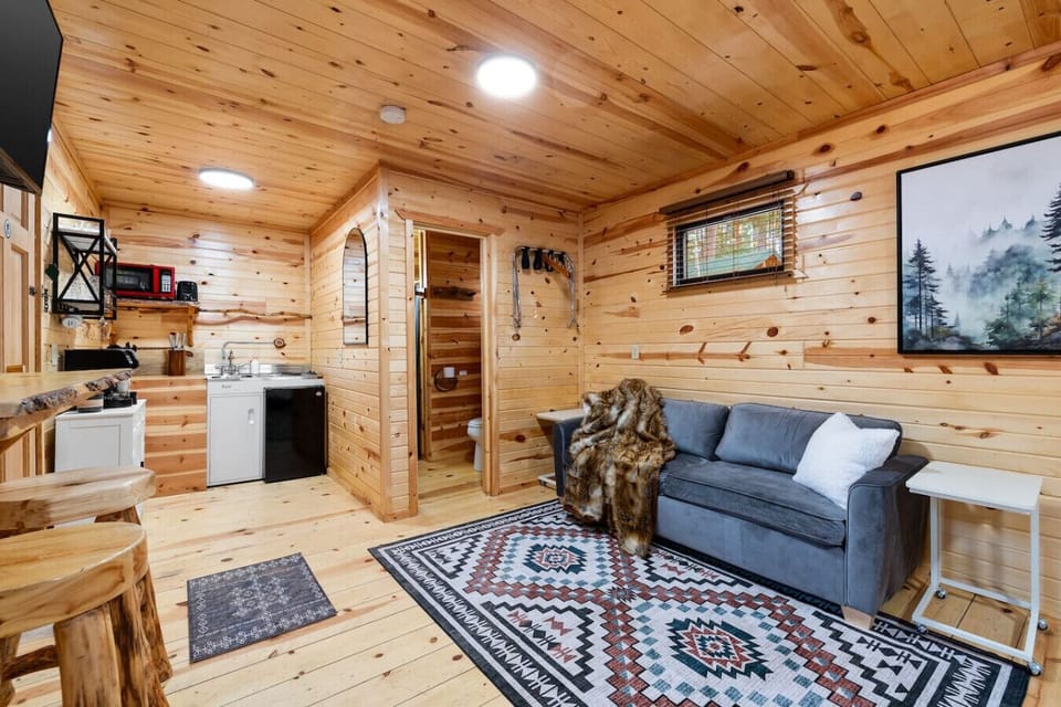 Everything you need in one cozy space, including a kitchenette, dining bar, and comfy seating.