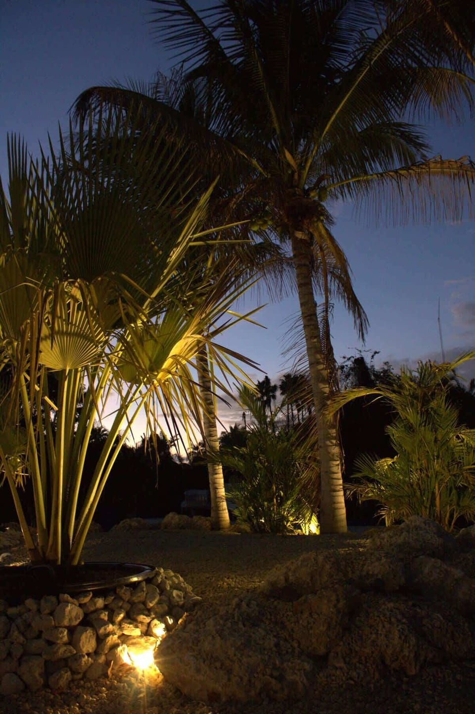 Landscaping Lighting - Front of House