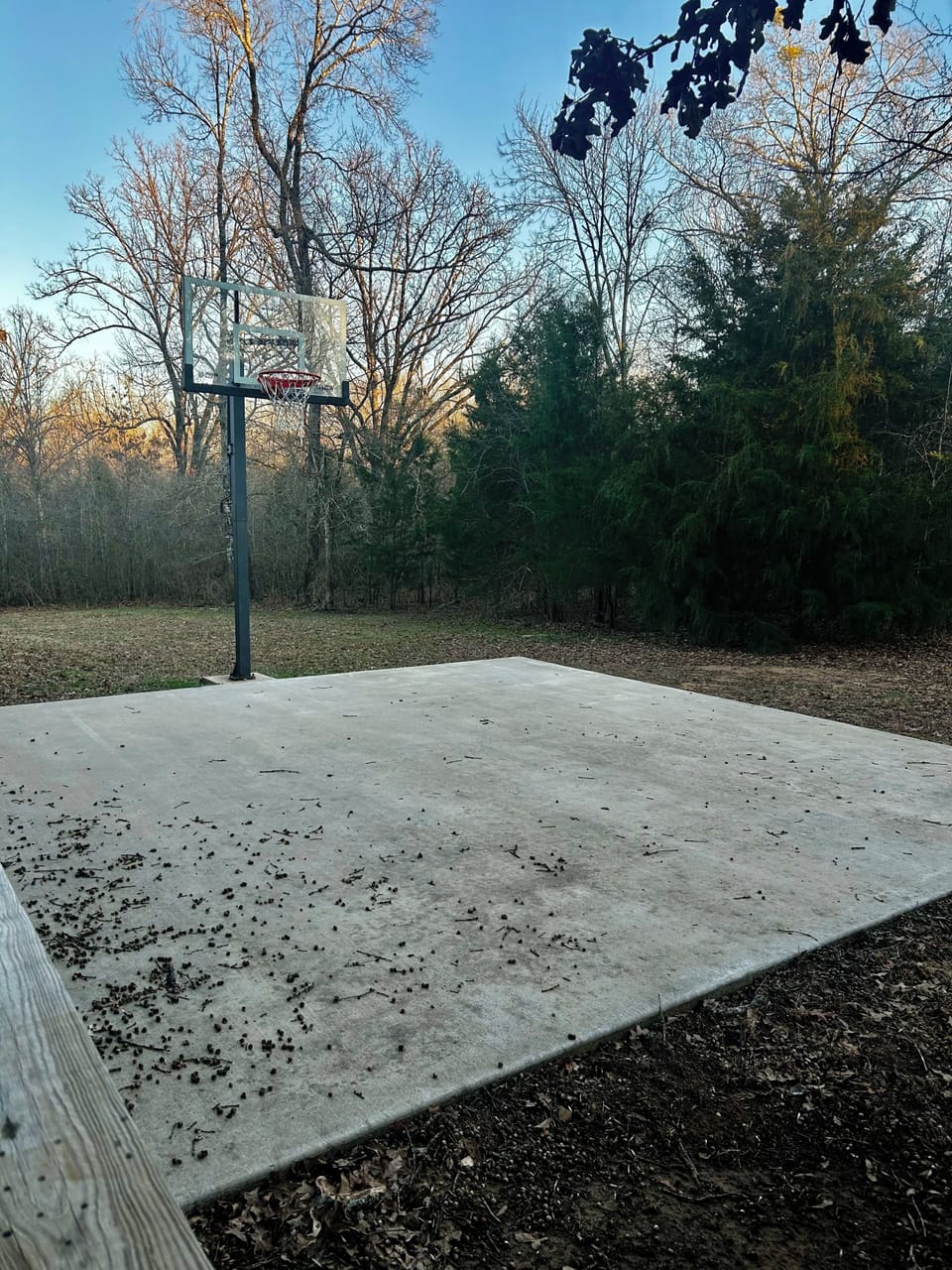 Sport court