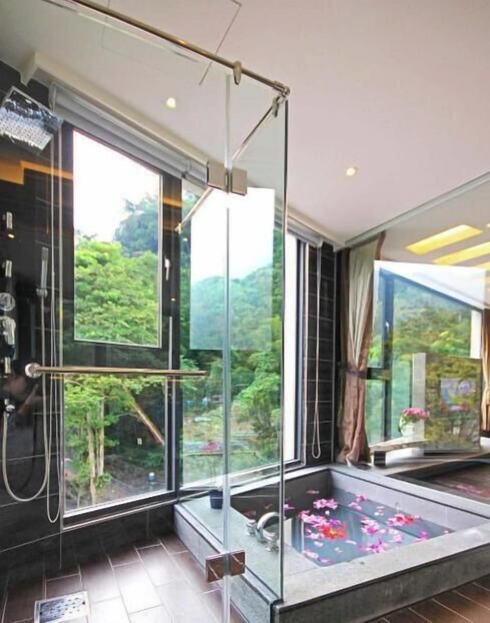 Shower, hair dryer, towels, shampoo