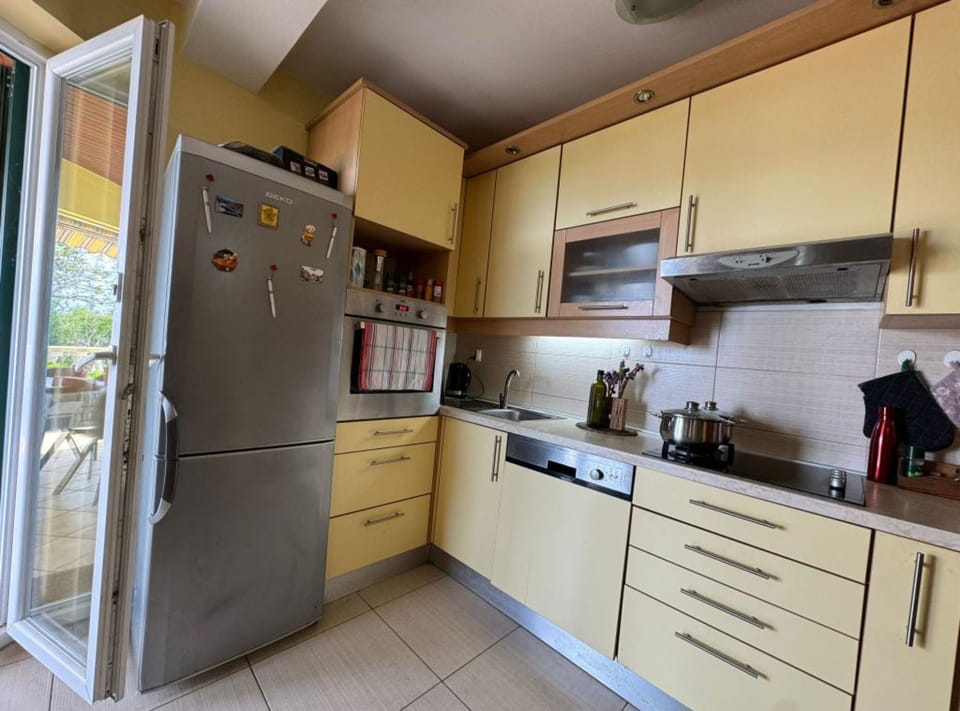 Apartment (Three Bedroom Apartment with Terrace) | Private kitchen | Fridge