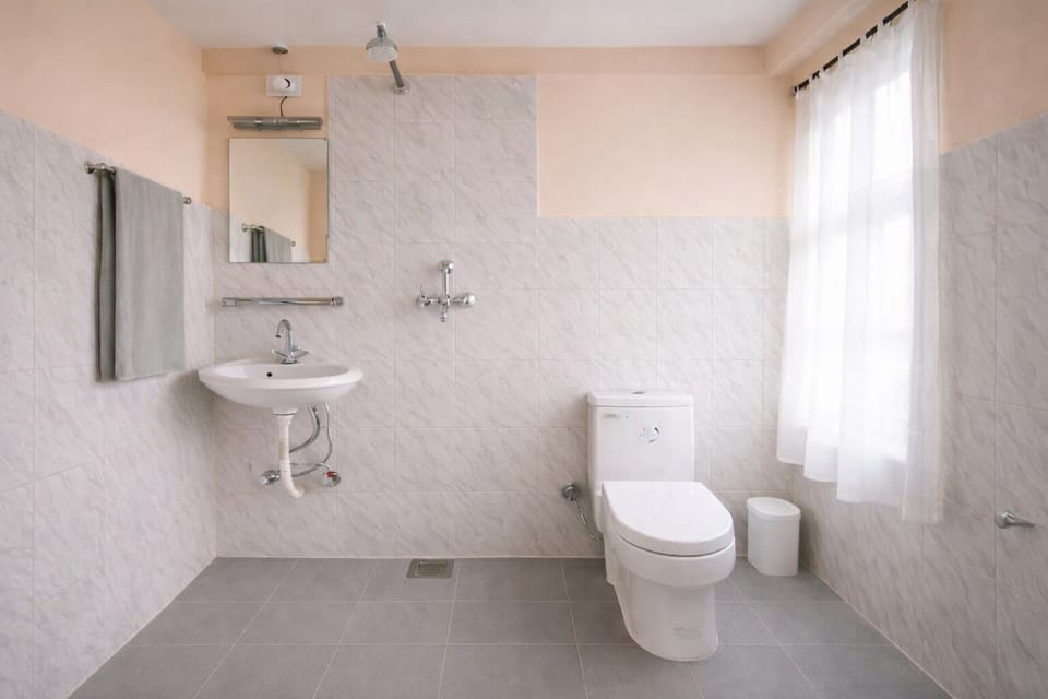 Towels, soap, shampoo, toilet paper