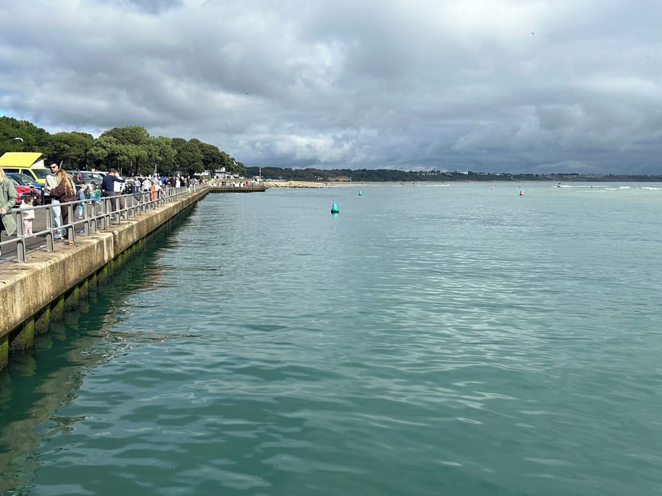 Crabbing on the water's edge