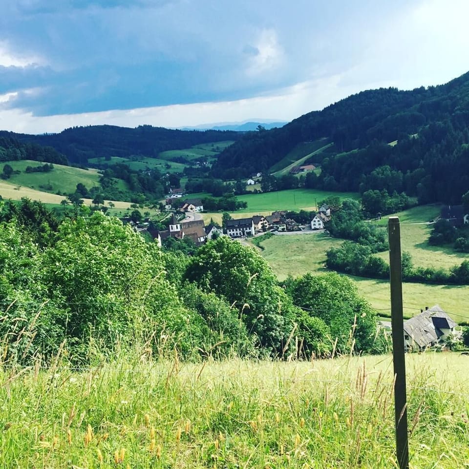 Land view from property