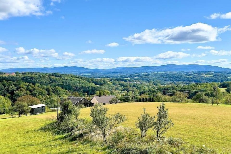 View from Holiday Home [summer]