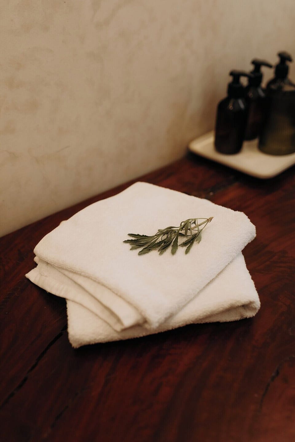 Superior Double Room, Desert View | Bathroom amenities | Shower, hair dryer, towels, soap