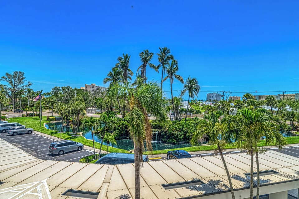 Tropical View