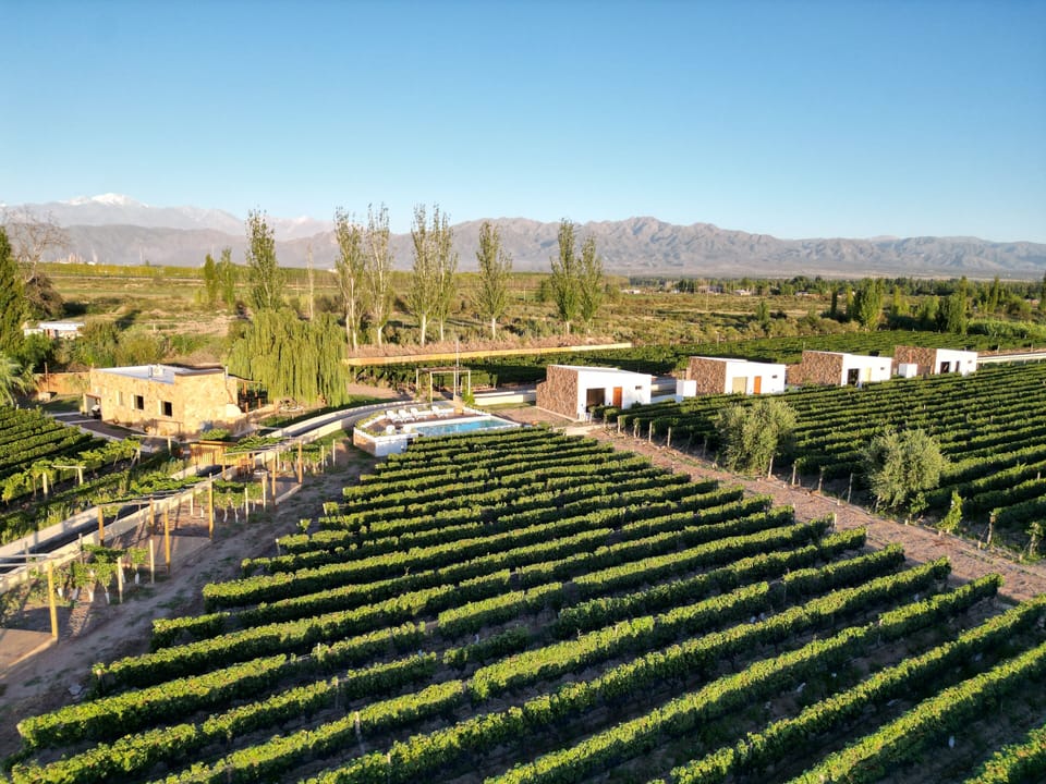 Comfort Cabin, Balcony, Vineyard View | Vineyard view