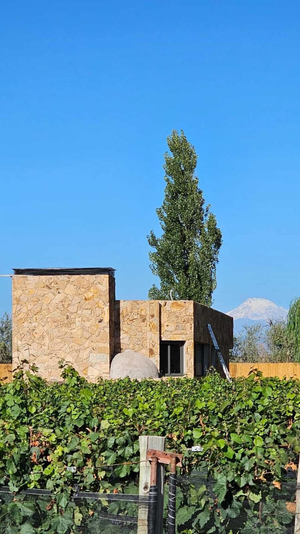 Winery