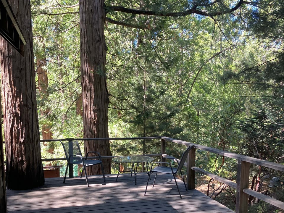 A wood-plank deck nestled among towering pines and cedars, with a round table and two chairs for morning coffee or evening conversation beneath the trees.