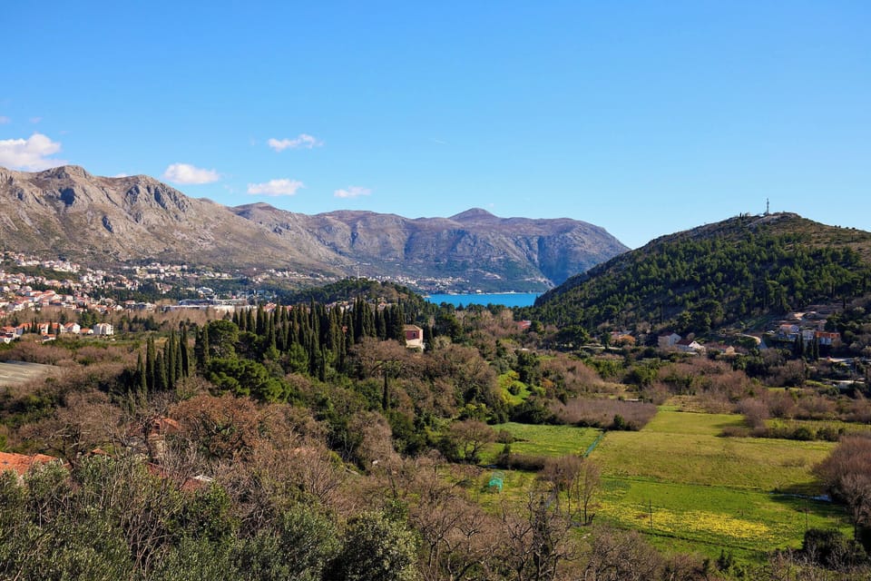 Bask in the sun-drenched Croatian landscape from your private villa. The stunning vista encompasses lush valleys and the brilliant blue Adriatic Sea, framed by majestic mountains.