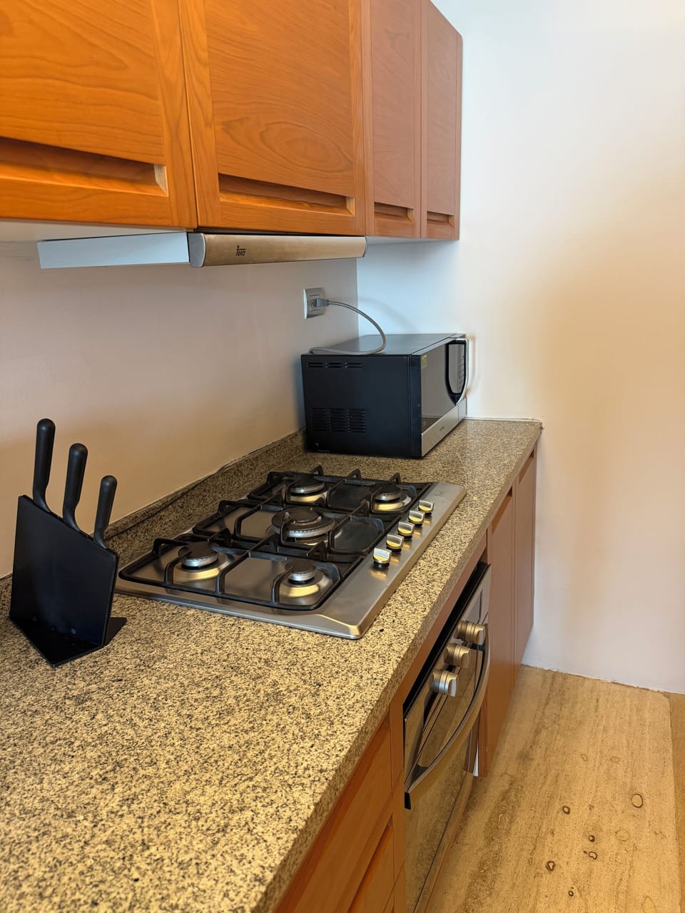 Luxury Apartment, Balcony, City View | Microwave