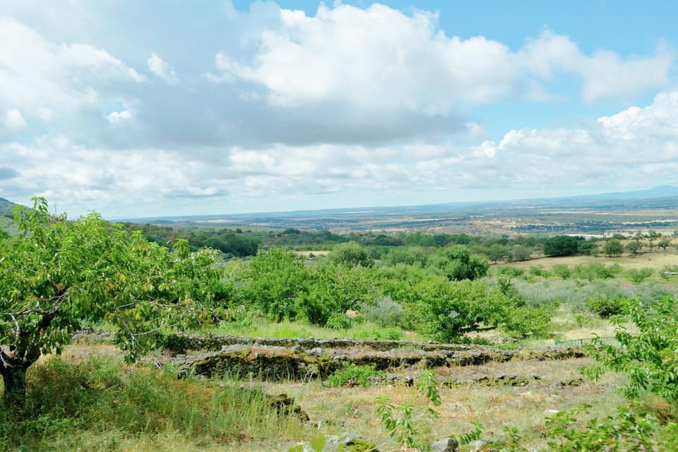 Immediate Surroundings [summer] (<1 km)