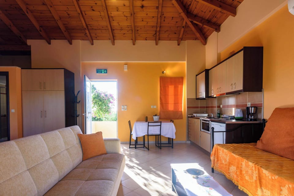 Comfortable Living Room with Open Kitchen Layout