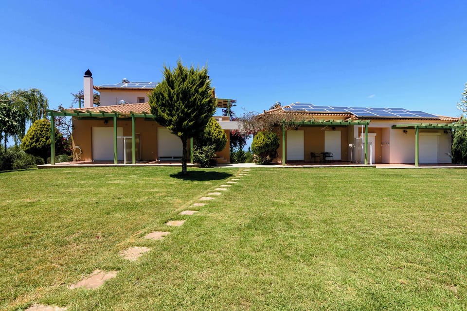 Wide Garden View with Lawn and Open Green Space