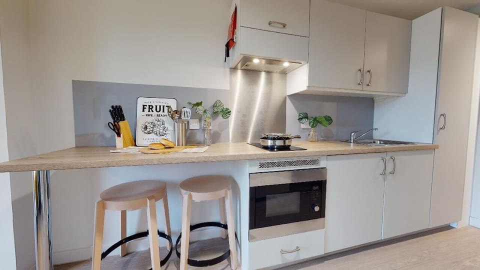Studio, Non Smoking | Private kitchen