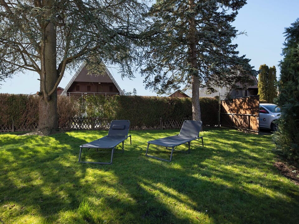 Furniture, Outdoor Furniture, Shrub, Garden, Land Lot, Lawn, Chair, Shade, Backyard, Landscaping