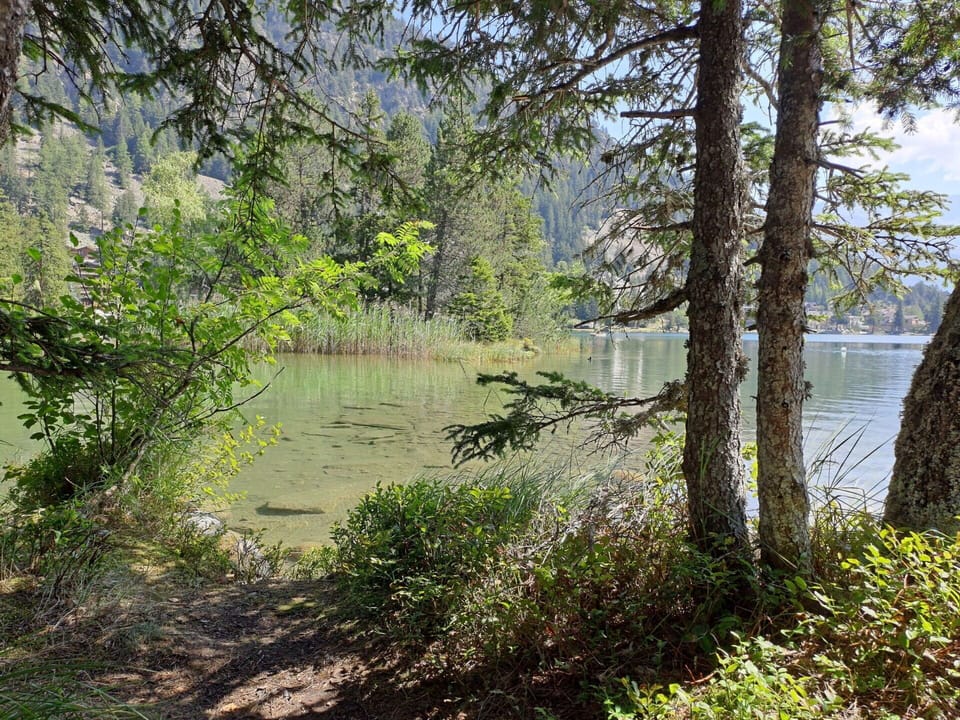Water, Green, Body Of Water, Nature, Water Resources, Natural Environment, Natural Landscape, Vegetation, Summer, Bank