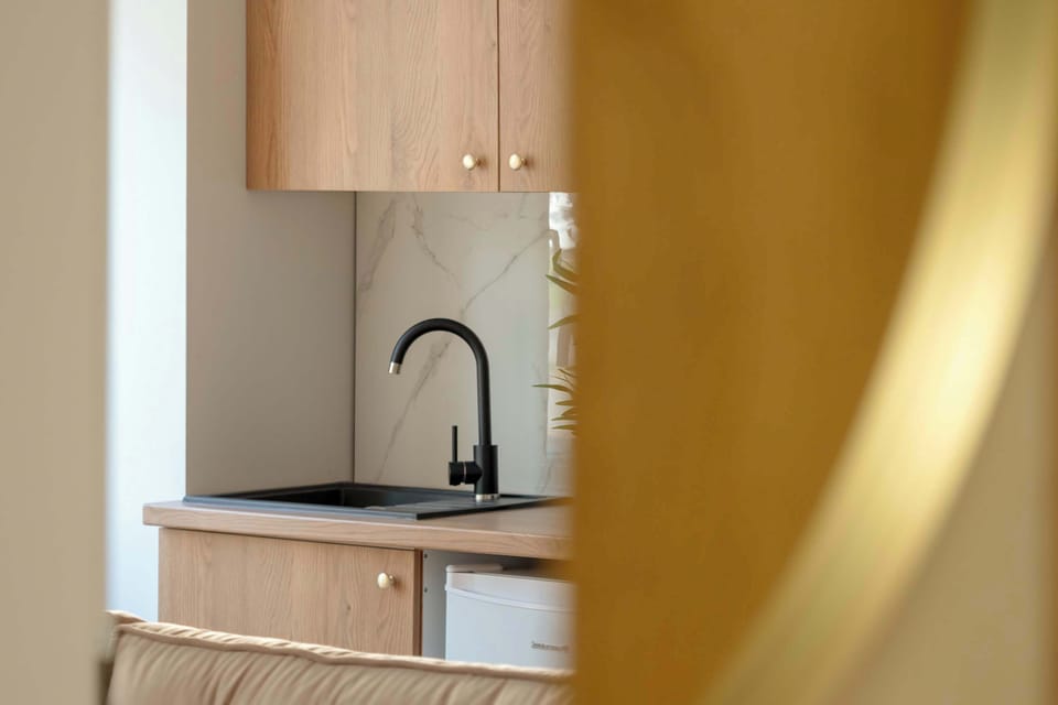 Another view of the kitchenette with light wooden cabinets and a plant, showcasing the simplicity and cleanliness of the design.