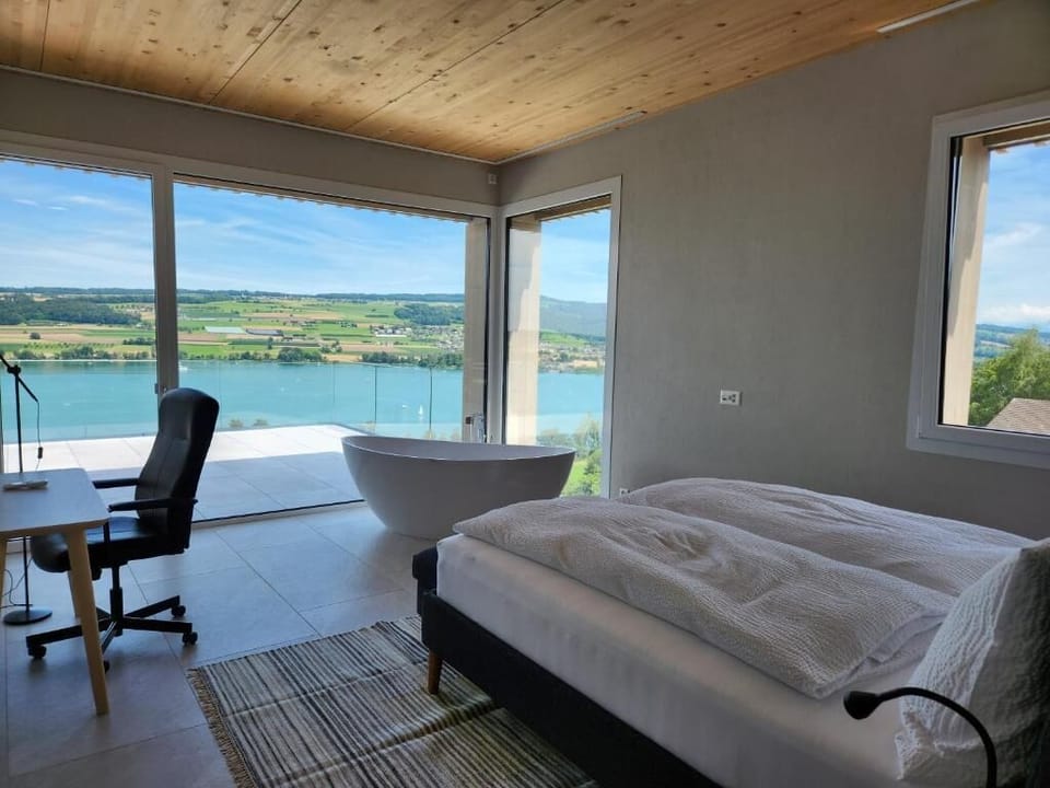 Superior Double or Twin Room, Lake View | Desk, laptop workspace, free WiFi