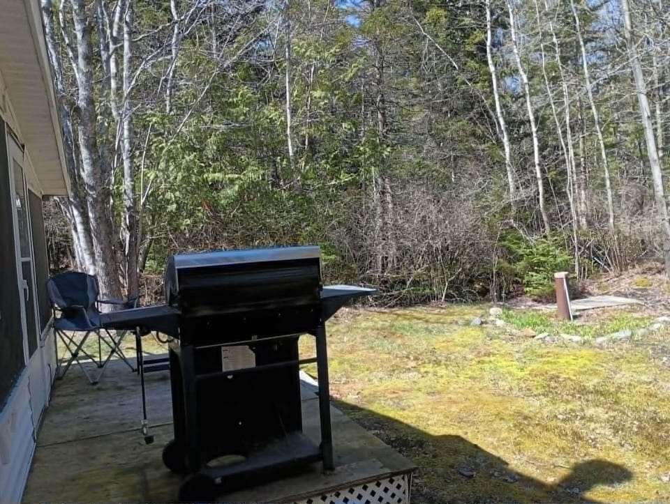 private back porch with BBQ