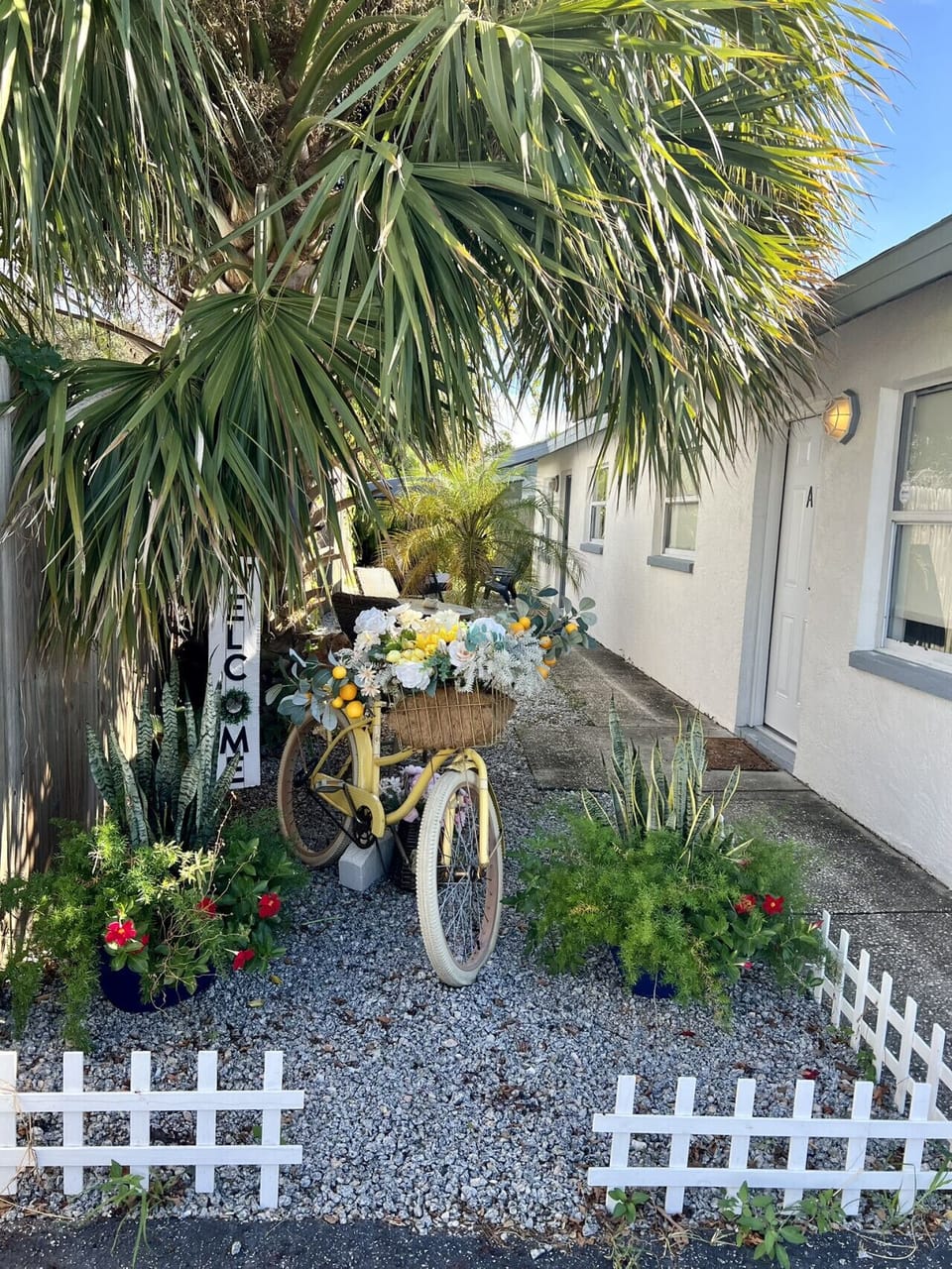 Relax and enjoy Palm Harbor’s laid-back coastal atmosphere