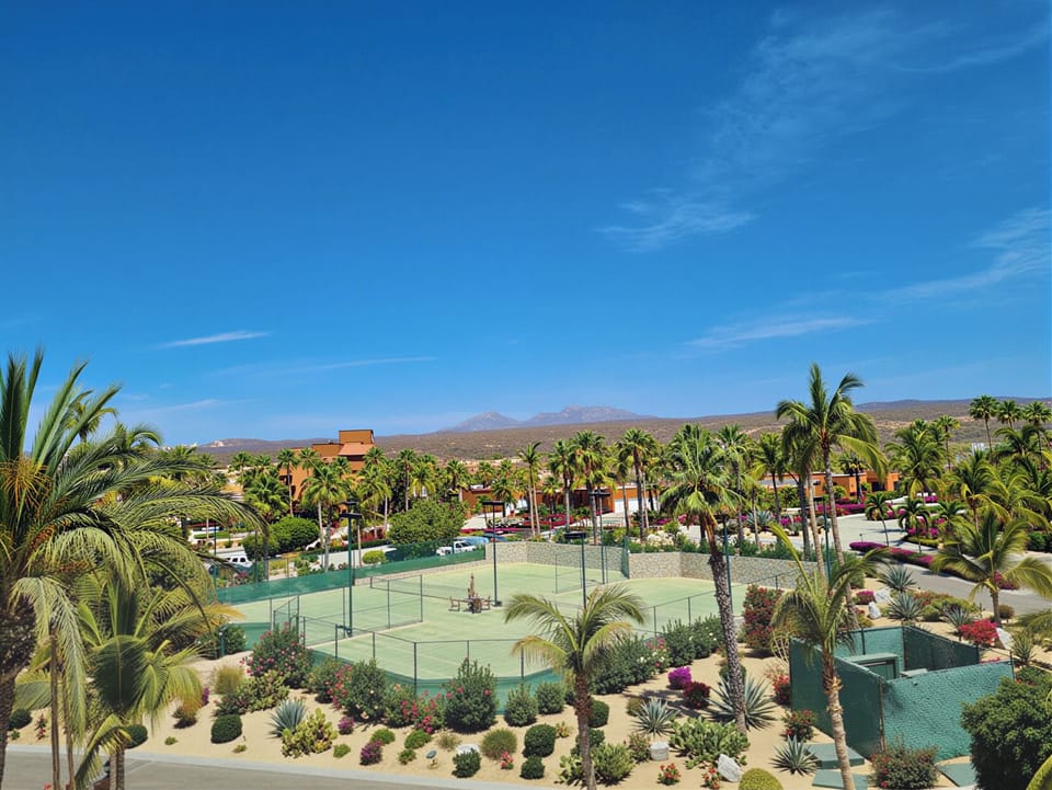 Sport court