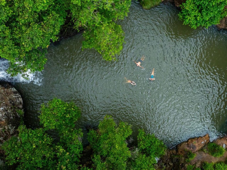 Kondalilla Falls - Flaxton