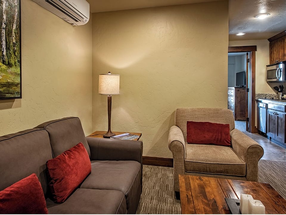 Living room with pull-out couch