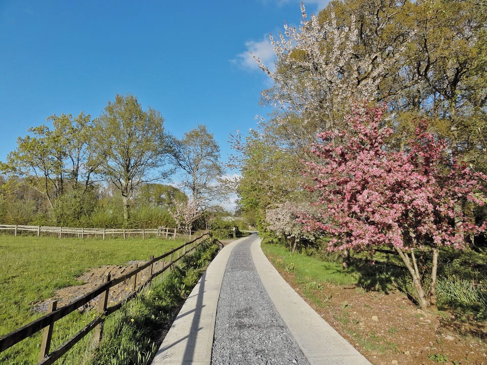 Surrounding area | Virginia Cottage, Bovey Tracey