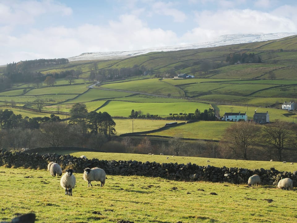 Alston countryside | Millstream, Naworth, Sowerberry - Alston Art Apartments , Alston