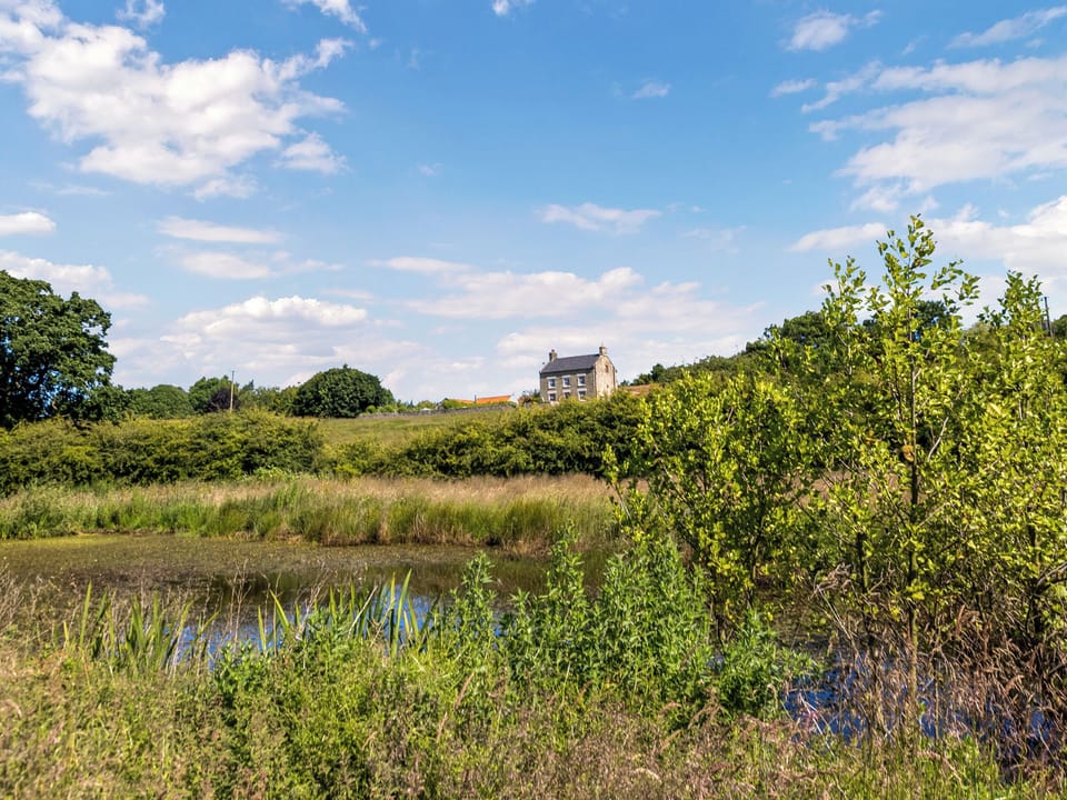 Surrounding area | Sycamore Cottage, Harwood Dale, near Scarborough