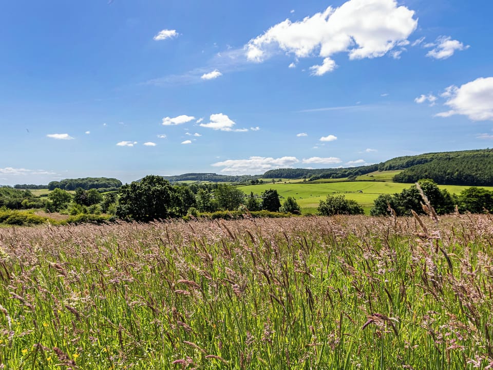 Surrounding area | Holly Cottage, Harwood Dale, near Scarborough