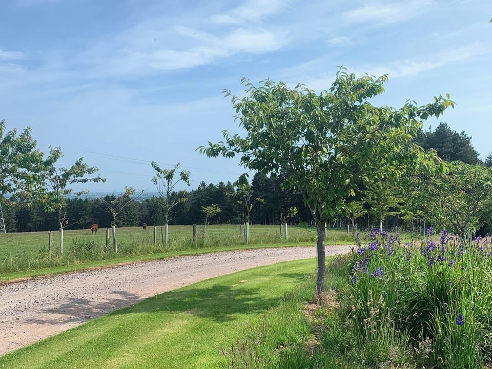 Garden and grounds | The Bothy, Fogwatt