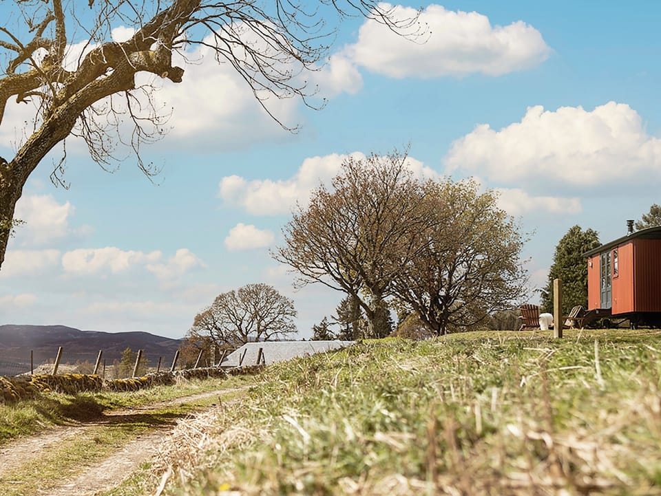 Surrounding area | Lapwing Shepherds Hut - Atholl Estate, Pitlochry