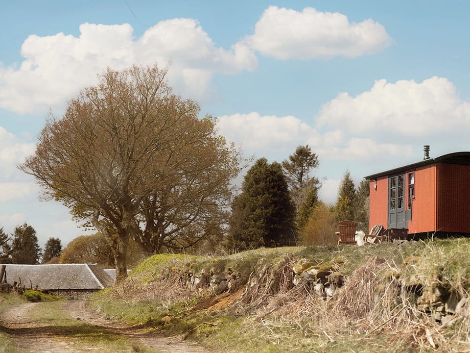 Surrounding area | Lapwing Shepherds Hut - Atholl Estate, Pitlochry