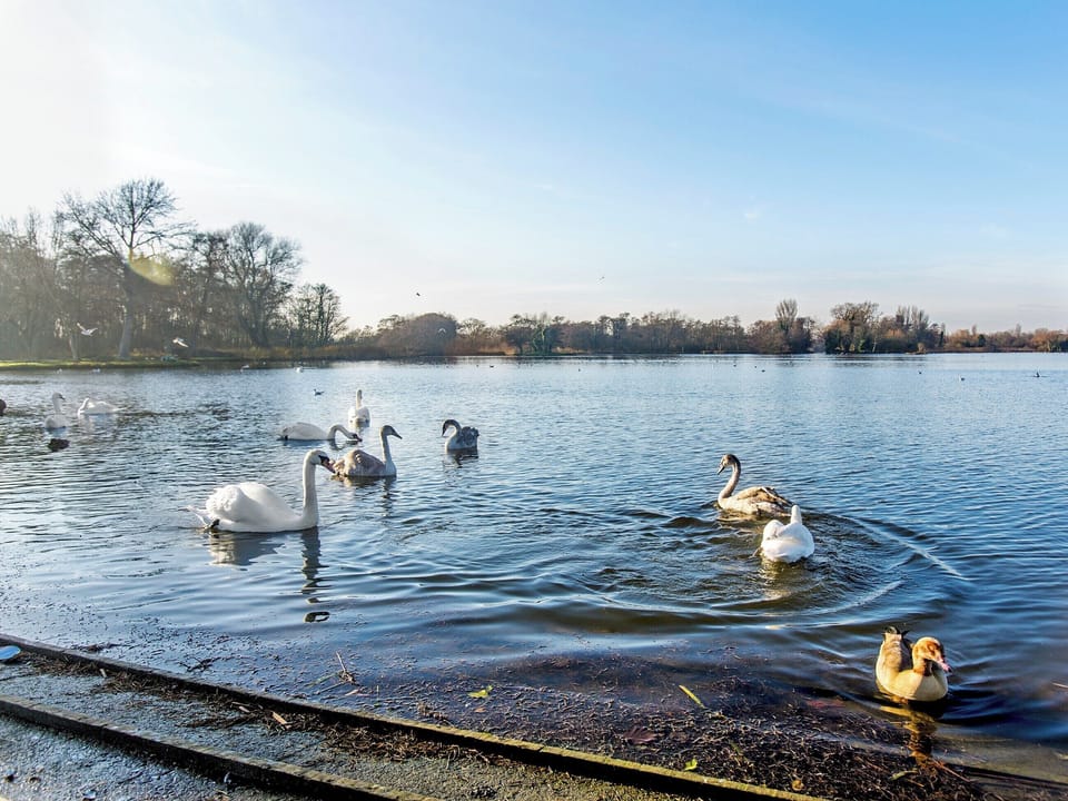 Idyllic boat lake | Boat Lake, Thorpness, near Saxmundham