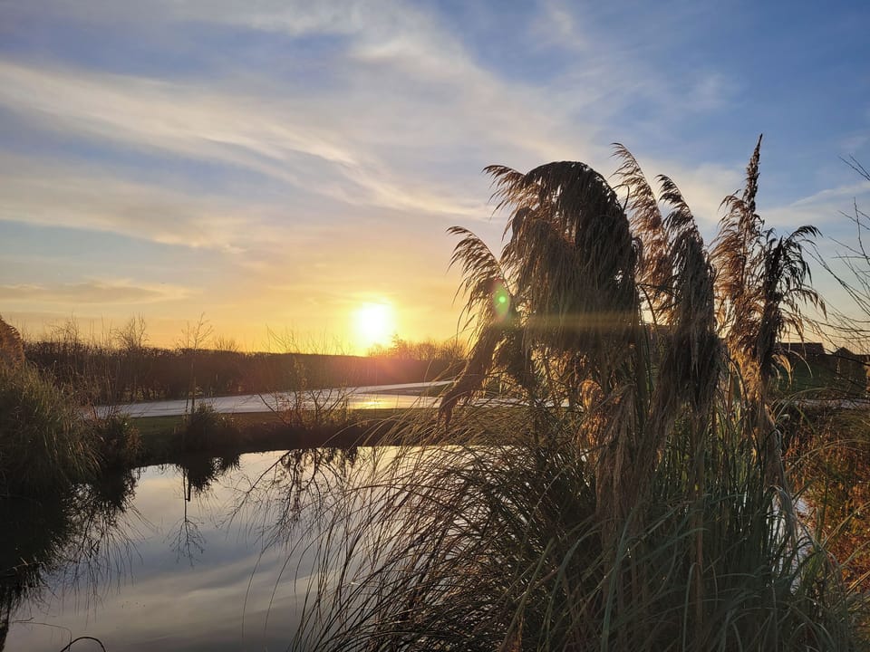Garden and grounds | Field Maple Barn - Ashlin Farm Barns, Dunholme, near Lincoln
