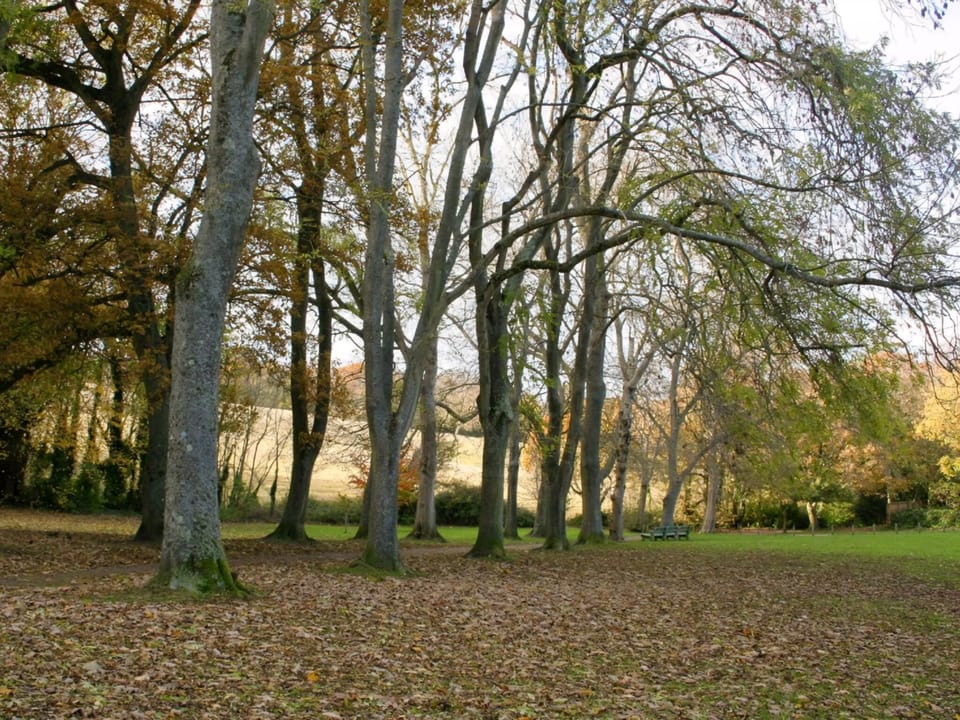 Wonderful parkland and grounds | Shanklin Manor, Shanklin