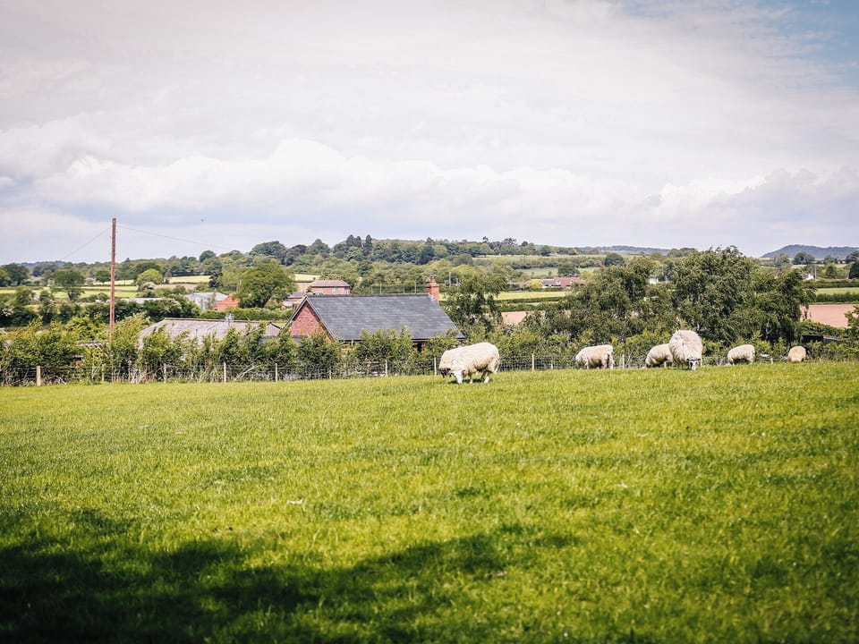 Beautiful surrounding countryside | Millmoor Farm, Bickley, near Malpas