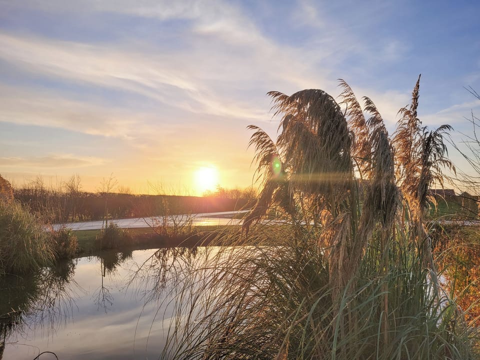 Nearby Pond | The Sycamores - Ashlin Farm Barns, Dunholme, near Lincoln