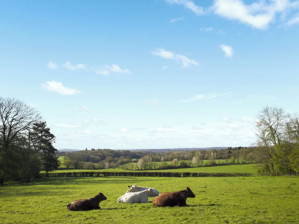 Outdoor | Gambledown Farm - Cuckoo - Safari Tent - Gambledown Farm Safari Tents, Romsey