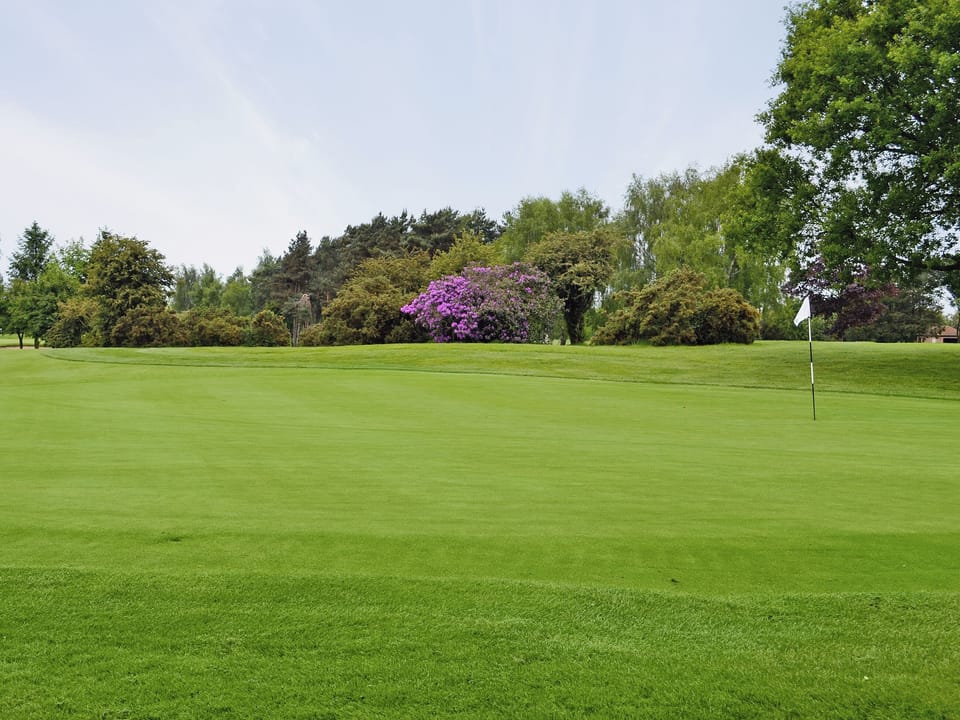 Selby Golf Club | Mackinder Farms - Mallard Lodge, Brayton, Selby