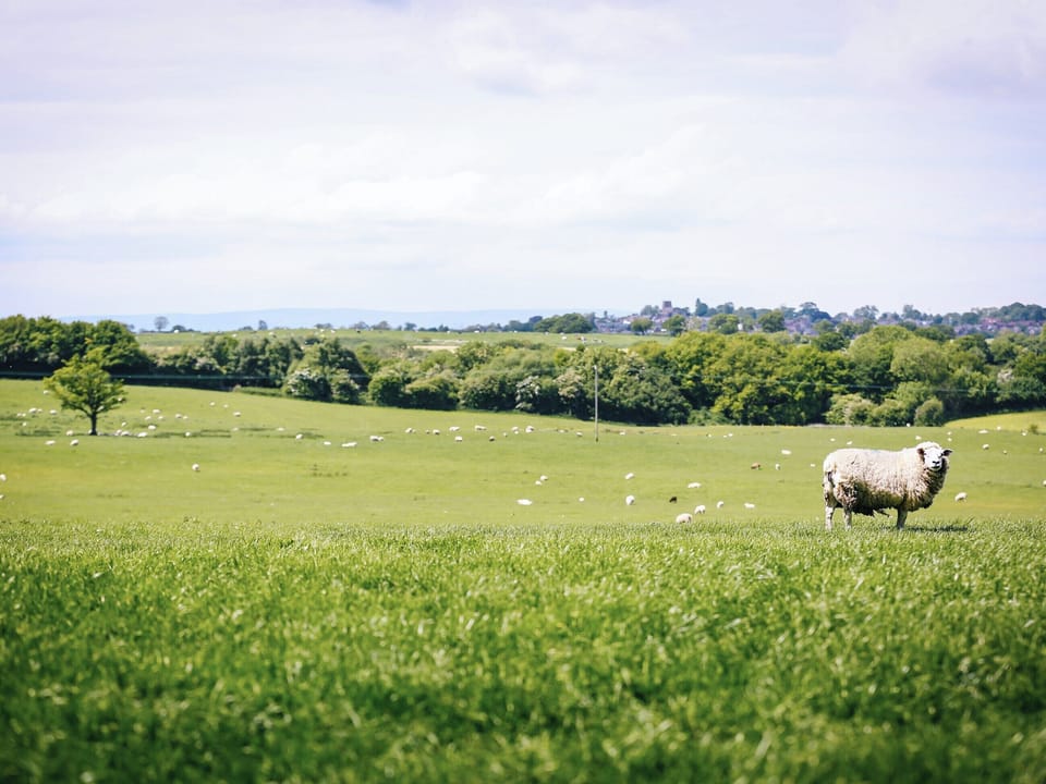 Panoramic rural views | Millmoor Farm, Bickley, near Malpas