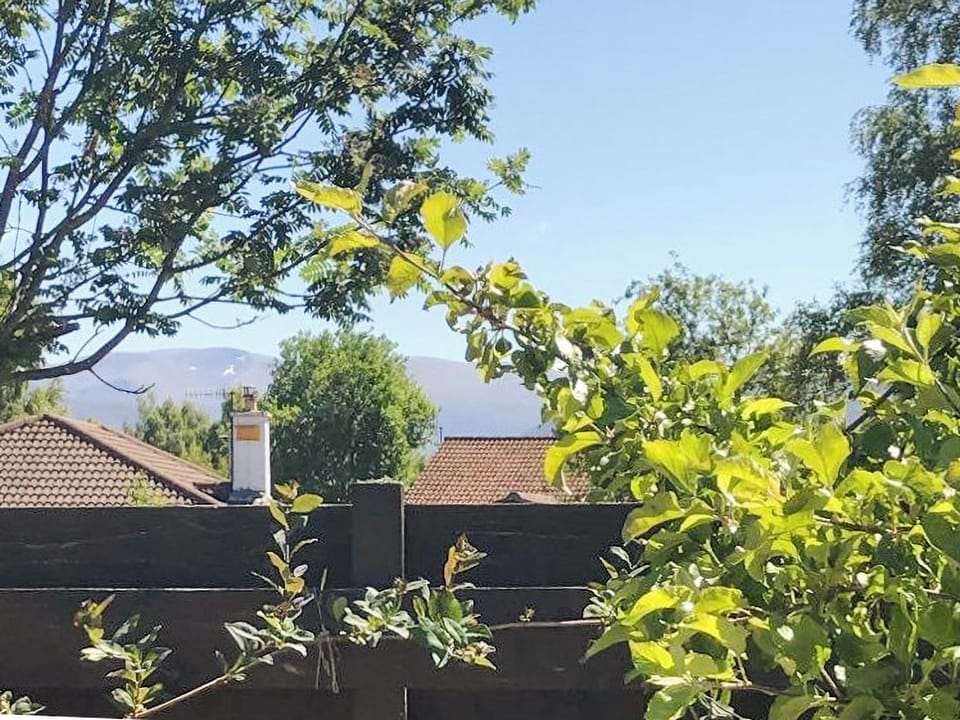 View | Snowy Owl Lodge - Silverglades Holiday Homes, Aviemore