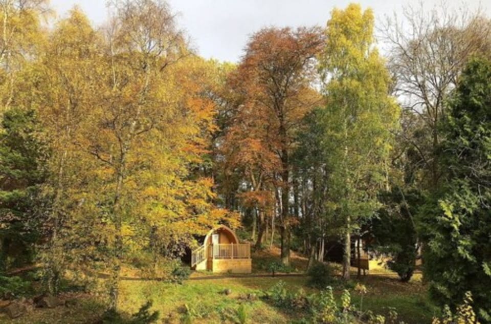 Cabin, 1 Double Bed with Sofa bed | In-room safe, desk, iron/ironing board, WiFi