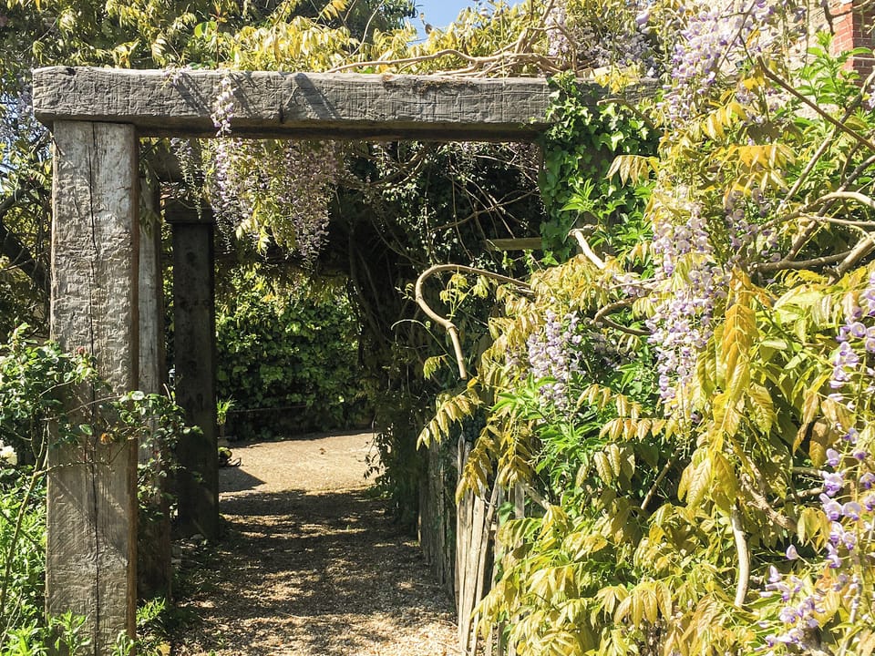 Garden | The Barn - Champernhayes, Wooton Fitzpaine, near Charmouth